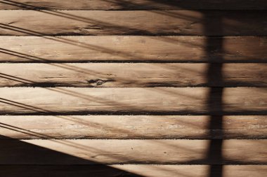 Güneş ışığı, ağaç gölgeleri, çeşitli dokular..