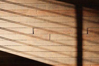 Güneş ışığı, ağaç gölgeleri, çeşitli dokular..