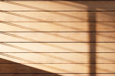 Güneş ışığı, ağaç gölgeleri, çeşitli dokular..