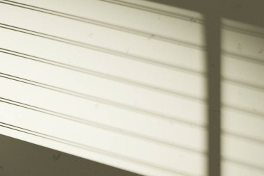 Güneş ışığı, ağaç gölgeleri, çeşitli dokular..