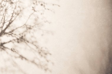 Güneş ışığı, ağaç gölgeleri, çeşitli dokular..