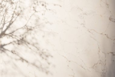 Güneş ışığı, ağaç gölgeleri, çeşitli dokular..