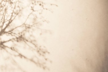 Güneş ışığı, ağaç gölgeleri, çeşitli dokular..