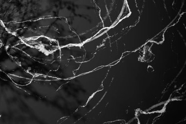 Güneş ışığı, ağaç gölgeleri, çeşitli dokular..