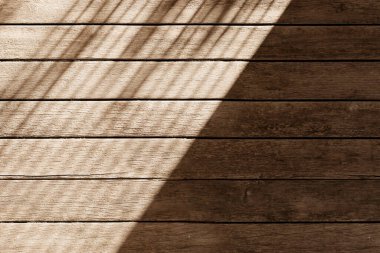 Güneş ışığı, ağaç gölgeleri, çeşitli dokular..