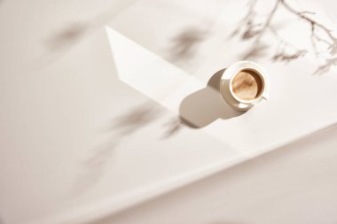 Masadaki çeşitli cam bardakların doğal dokusu ve güneş ışığı içeri doğru akıyor..