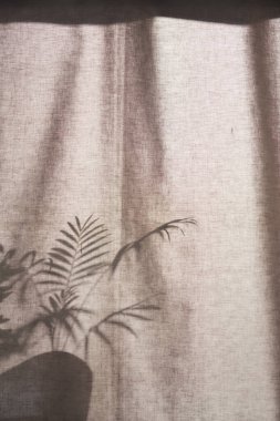 Arka planda gölgeler parlıyor. Pencereden içeri güneş ışığı giriyor..