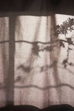 Arka planda gölgeler parlıyor. Pencereden içeri güneş ışığı giriyor..