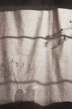 Arka planda gölgeler parlıyor. Pencereden içeri güneş ışığı giriyor..