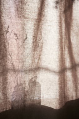 Arka planda gölgeler parlıyor. Pencereden içeri güneş ışığı giriyor..