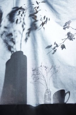 Arka planda gölgeler parlıyor. Pencereden içeri güneş ışığı giriyor..