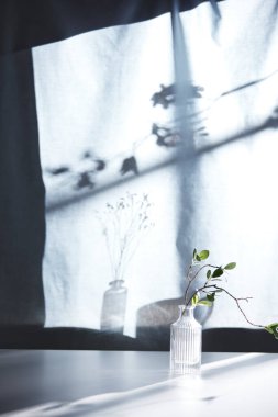 Arka planda gölgeler parlıyor. Pencereden içeri güneş ışığı giriyor..