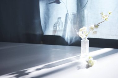 Arka planda gölgeler parlıyor. Pencereden içeri güneş ışığı giriyor..