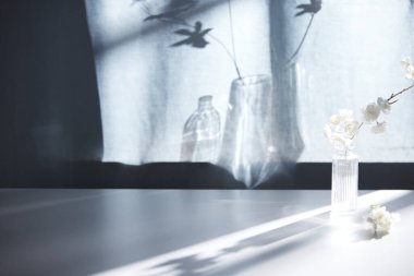 Arka planda gölgeler parlıyor. Pencereden içeri güneş ışığı giriyor..