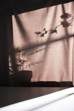 Arka planda gölgeler parlıyor. Pencereden içeri güneş ışığı giriyor..