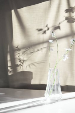 Arka planda gölgeler parlıyor. Pencereden içeri güneş ışığı giriyor..