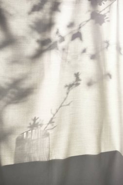 Arka planda gölgeler parlıyor. Pencereden içeri güneş ışığı giriyor..