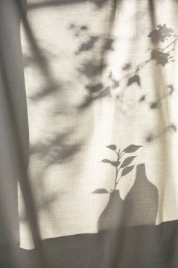 Arka planda gölgeler parlıyor. Pencereden içeri güneş ışığı giriyor..