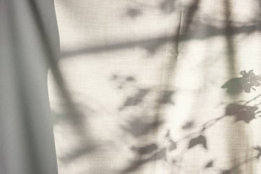 Arka planda gölgeler parlıyor. Pencereden içeri güneş ışığı giriyor..