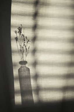 Arka planda gölgeler parlıyor. Pencereden içeri güneş ışığı giriyor..