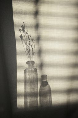 Arka planda gölgeler parlıyor. Pencereden içeri güneş ışığı giriyor..