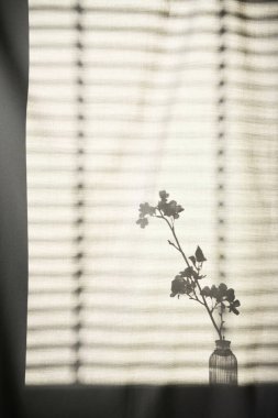 Arka planda gölgeler parlıyor. Pencereden içeri güneş ışığı giriyor..