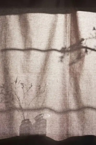 Arka planda gölgeler parlıyor. Pencereden içeri güneş ışığı giriyor..