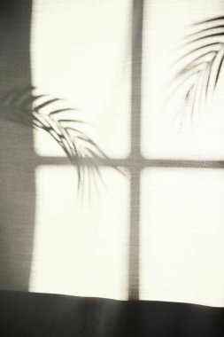 Arka planda gölgeler parlıyor. Pencereden içeri güneş ışığı giriyor..