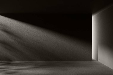 Bina yapısından gelen ışıkla siyah beyaz bir arkaplan.