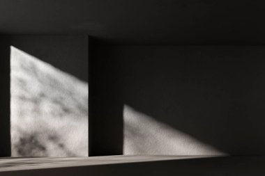 Bina yapısından gelen ışıkla siyah beyaz bir arkaplan.