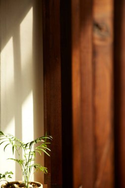 Güneşli pencerenin yanında rahat bir dinlenme. Değişik tasarımlarda kullanılabilecek güneş ışığı ve gölgelere sahip bir arka plan.