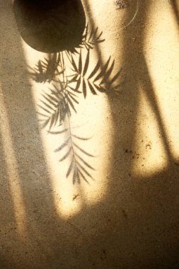 Güneşli pencerenin yanında rahat bir dinlenme. Değişik tasarımlarda kullanılabilecek güneş ışığı ve gölgelere sahip bir arka plan.