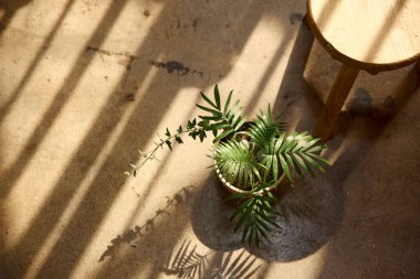 Güneşli pencerenin yanında rahat bir dinlenme. Değişik tasarımlarda kullanılabilecek güneş ışığı ve gölgelere sahip bir arka plan.