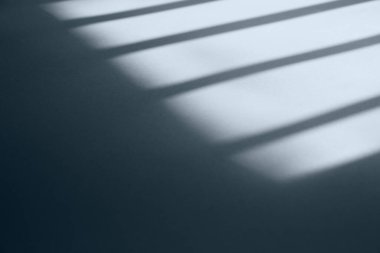 Güneşli bir pencere ve arka plan olarak kullanılabilen bir bitkinin gölgesi.