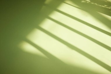 Güneşli bir pencere ve arka plan olarak kullanılabilen bir bitkinin gölgesi.