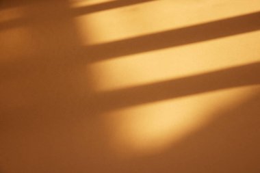 Güneşli bir pencere ve arka plan olarak kullanılabilen bir bitkinin gölgesi.