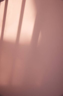 Güneşli bir pencere ve arka plan olarak kullanılabilen bir bitkinin gölgesi.