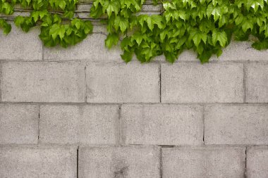 Bina yapısından gelen ışıkla siyah beyaz bir arkaplan.