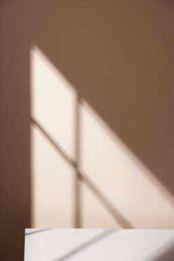 Ilık güneş ışığının pencereden içeri aktığı basit bir iç plan.