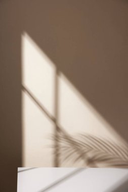 Ilık güneş ışığının pencereden içeri aktığı basit bir iç plan.