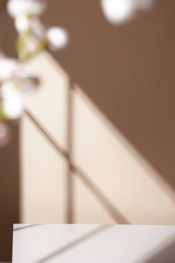 Ilık güneş ışığının pencereden içeri aktığı basit bir iç plan.