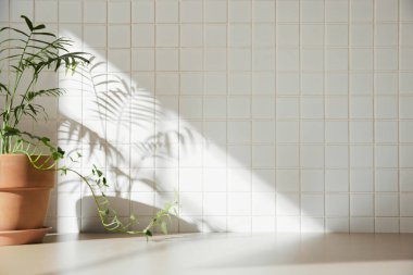 Ilık güneş ışığının pencereden içeri aktığı basit bir iç plan.