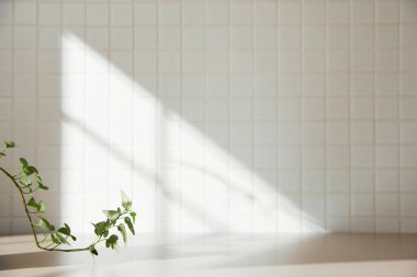 Ilık güneş ışığının pencereden içeri aktığı basit bir iç plan.