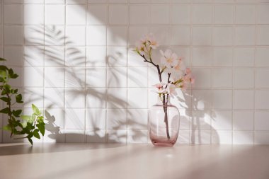 Ilık güneş ışığının pencereden içeri aktığı basit bir iç plan.