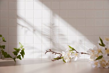 Ilık güneş ışığının pencereden içeri aktığı basit bir iç plan.