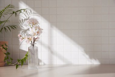 Ilık güneş ışığının pencereden içeri aktığı basit bir iç plan.