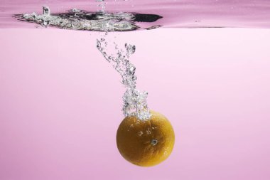 Suya düşen taze meyve. Diyet için etkili meyve veren organik meyve..