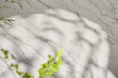 Güneş ışığı, ağaç gölgeleri, çeşitli dokular..