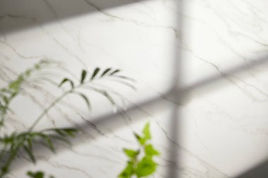 Güneş ışığı, ağaç gölgeleri, çeşitli dokular..