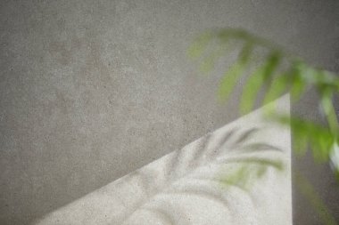 Penceresinden güneş ışığı geçen çeşitli aksesuarları olan gri renkli bir fayans..